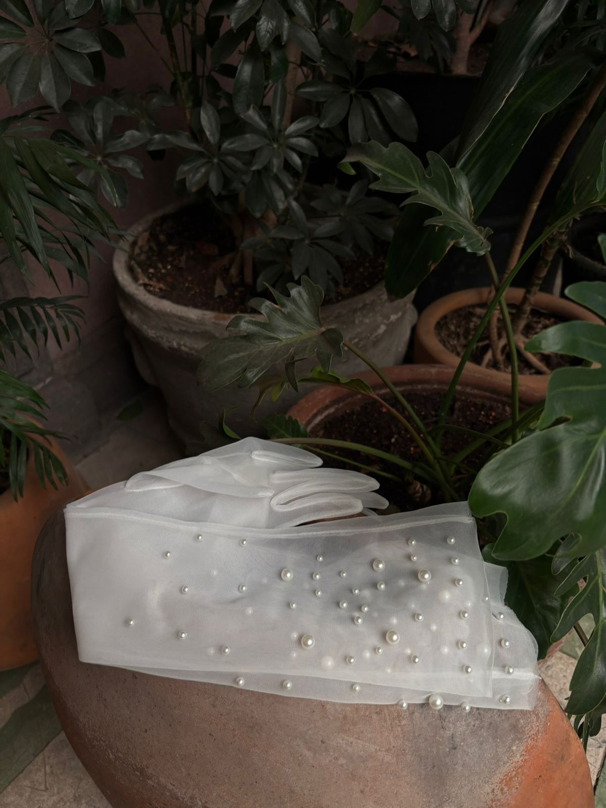 MIA GLOVES